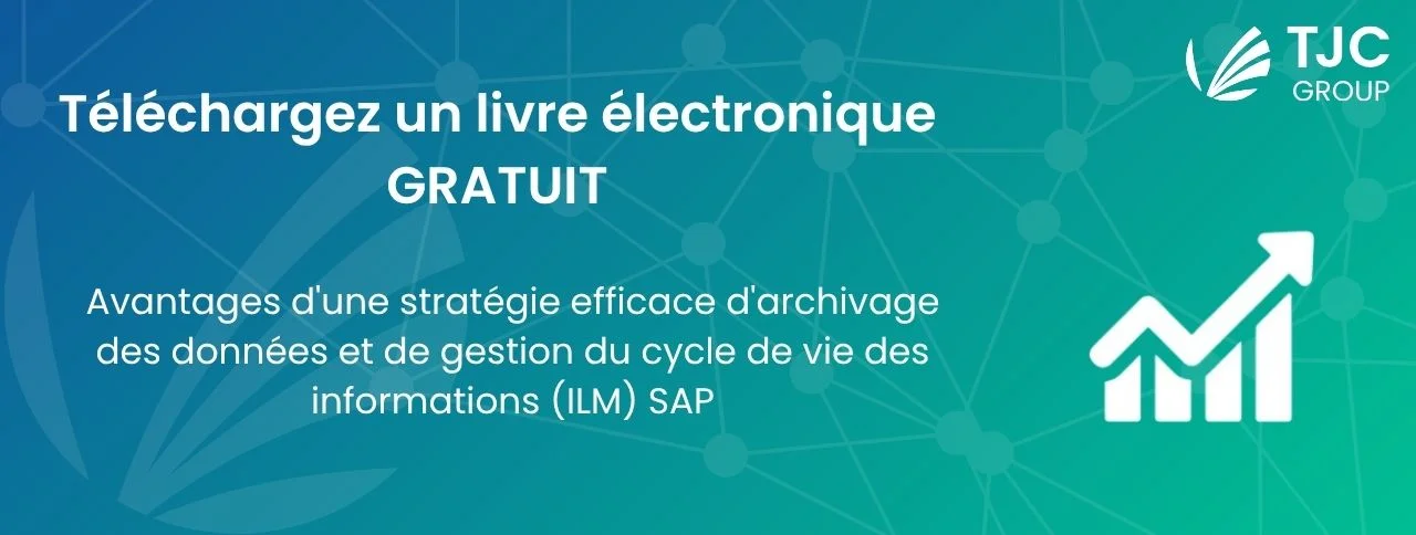 Téléchargez notre livre électronique gratuit